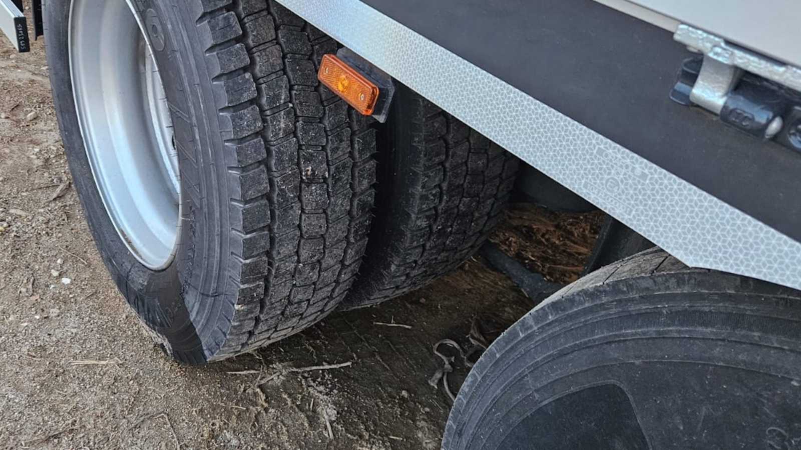 OmecoHub - Immagine 6